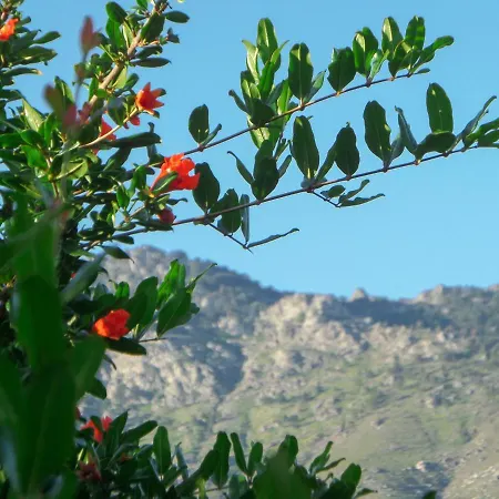Soleil * Agios Georgios (Thasos)